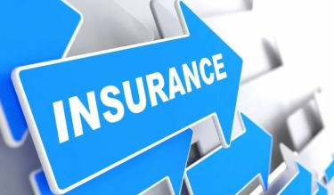 Insurance Options for Nigerians: A Comprehensive Guide