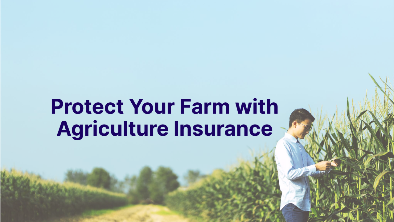 Agricultural Insurance: Protecting Farmers from Crop Failures